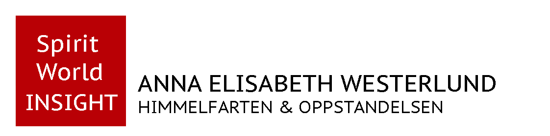 Spirit World Insight