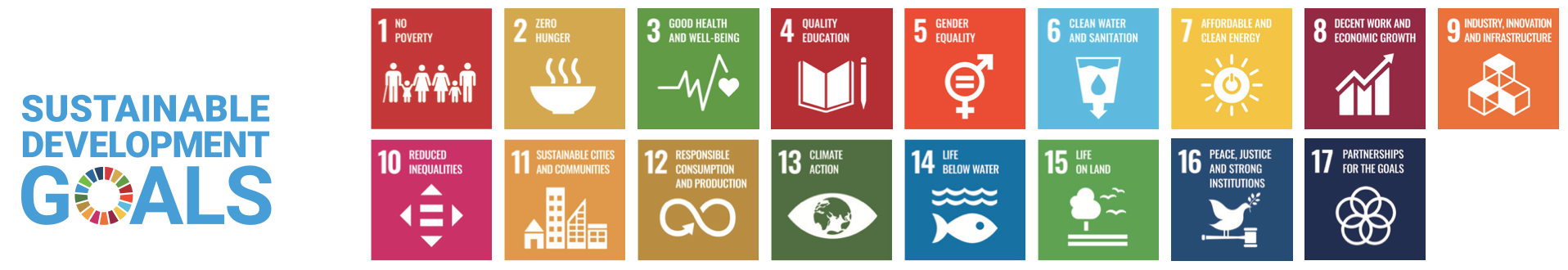 The Sustainable Development Goals Report 2020.
